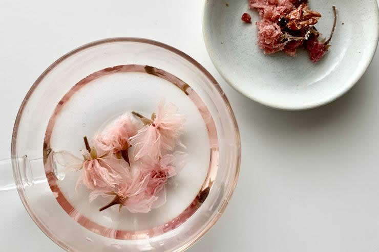 桜茶とは ひな祭りなどのお祝いに 桜茶の入れ方 レシピ 茶活 Chakatsu